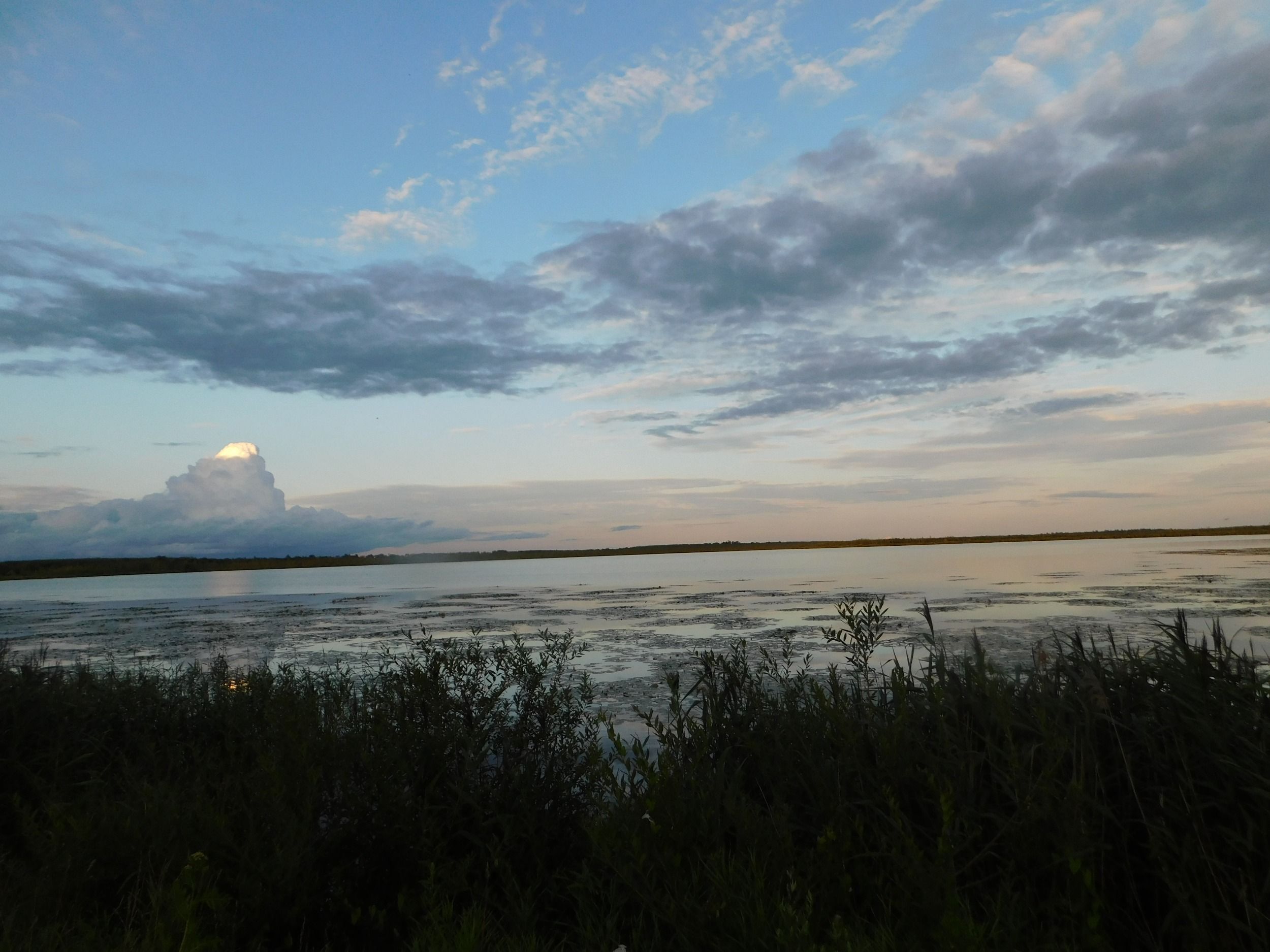 DSCN7689.JPG