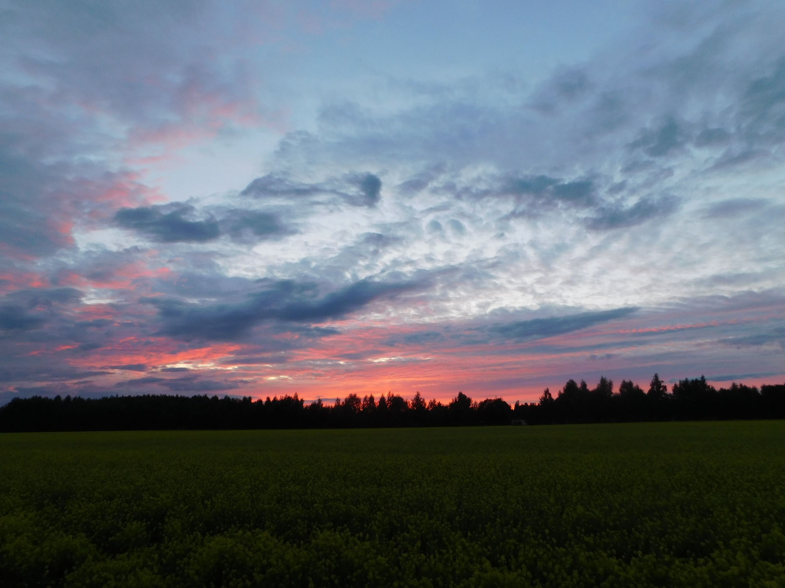 DSCN7709.JPG