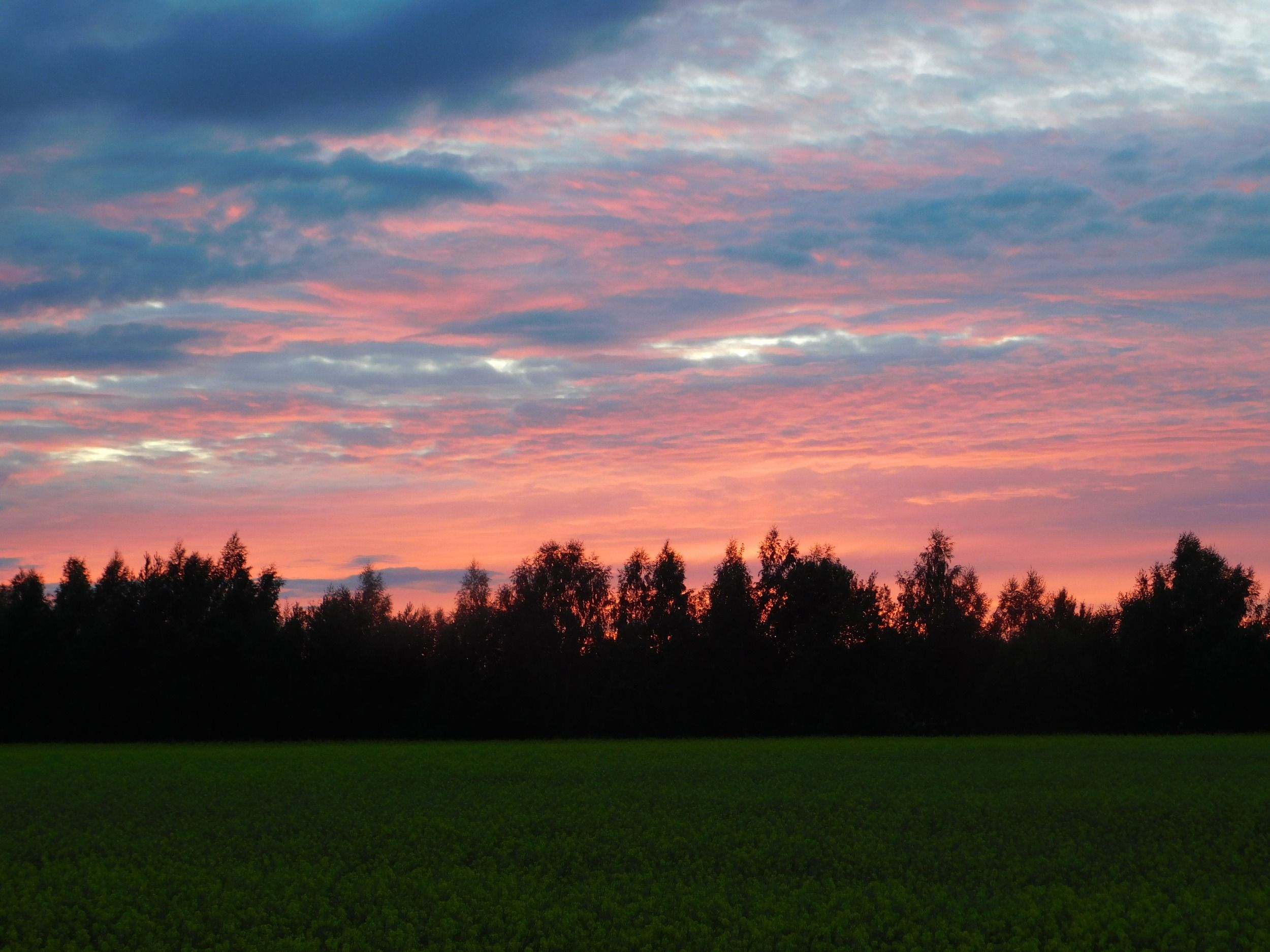 DSCN7710.JPG