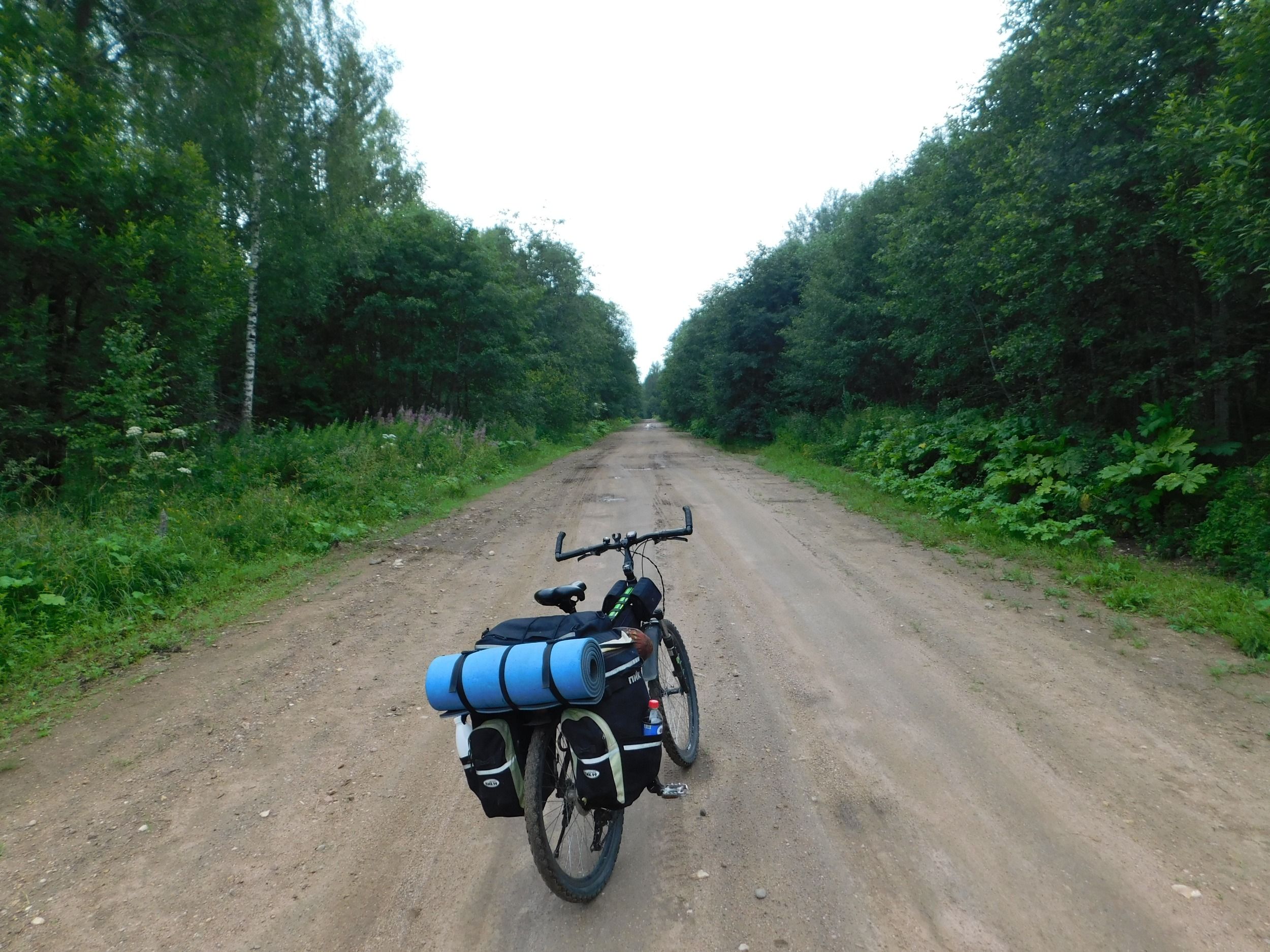 DSCN7755.JPG