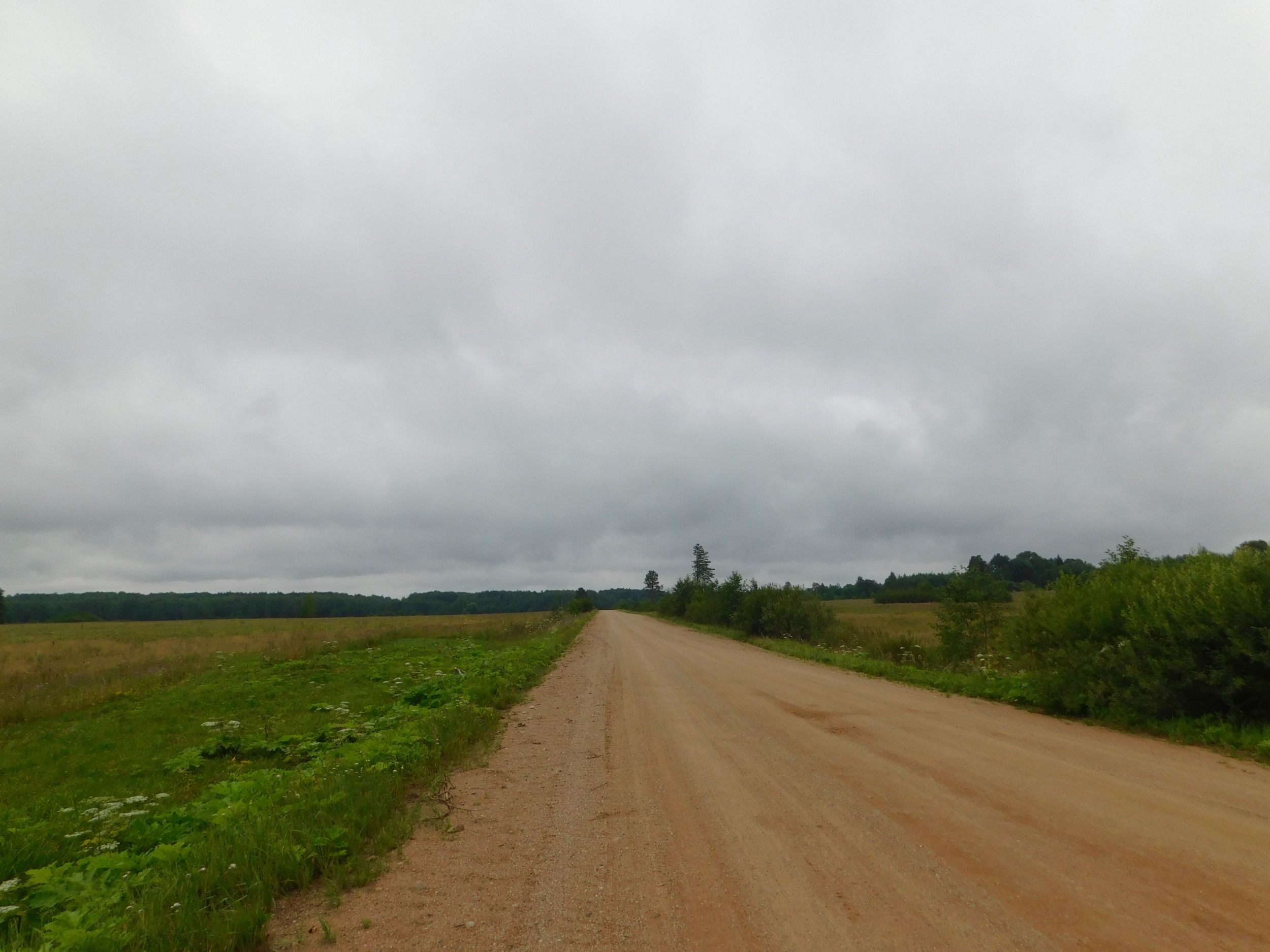 DSCN7770.JPG