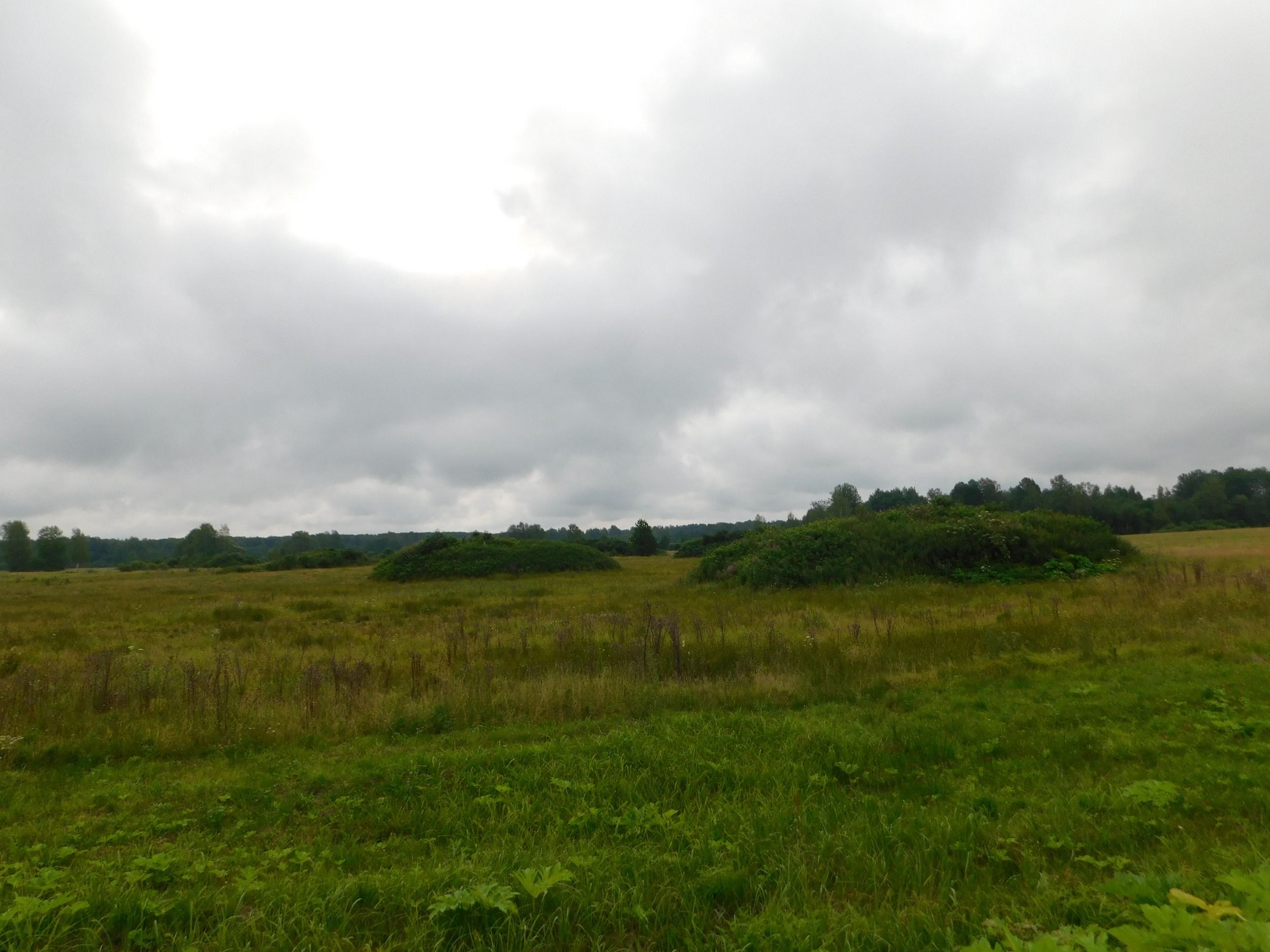 DSCN7769.JPG