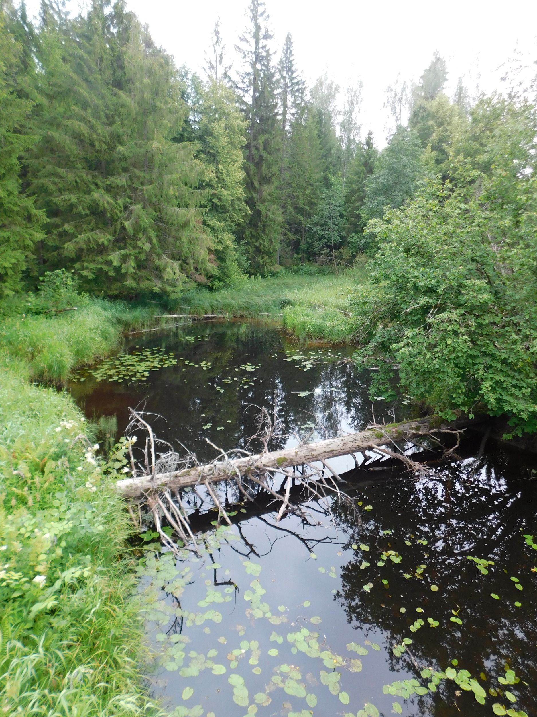 DSCN7773.jpg