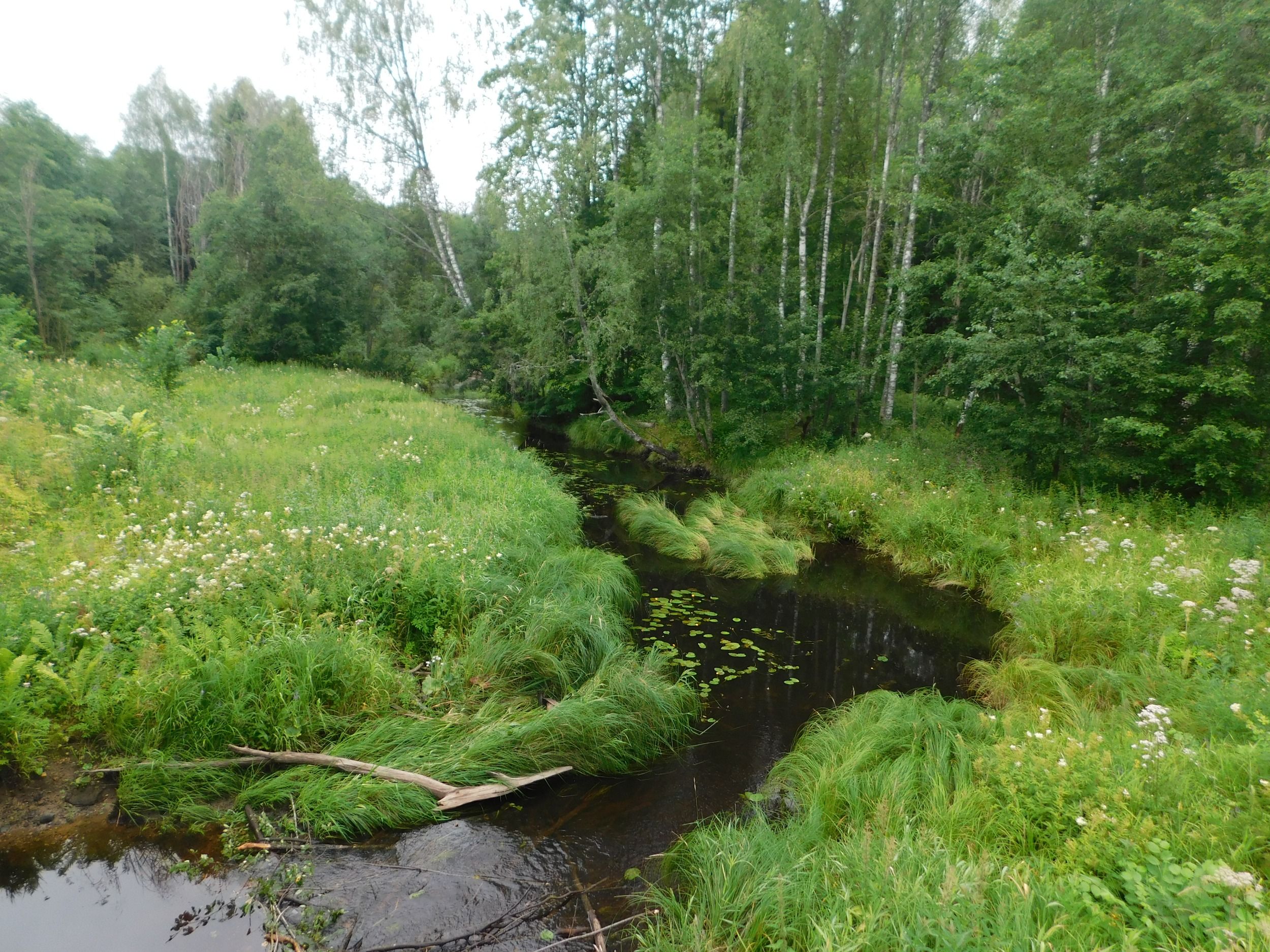 DSCN7774.JPG