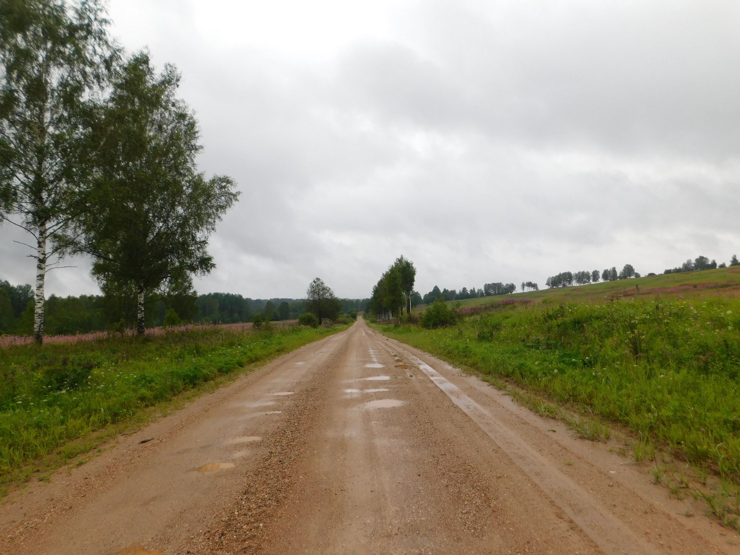 DSCN7781.JPG