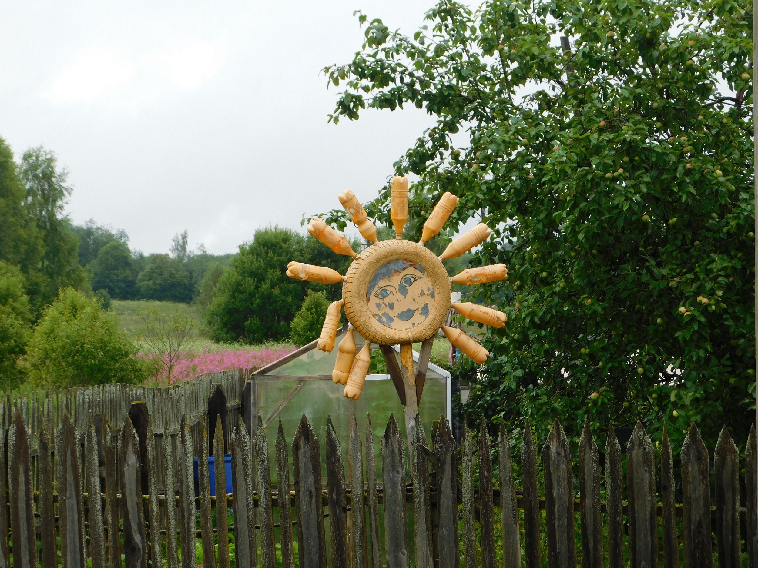 DSCN7784.JPG