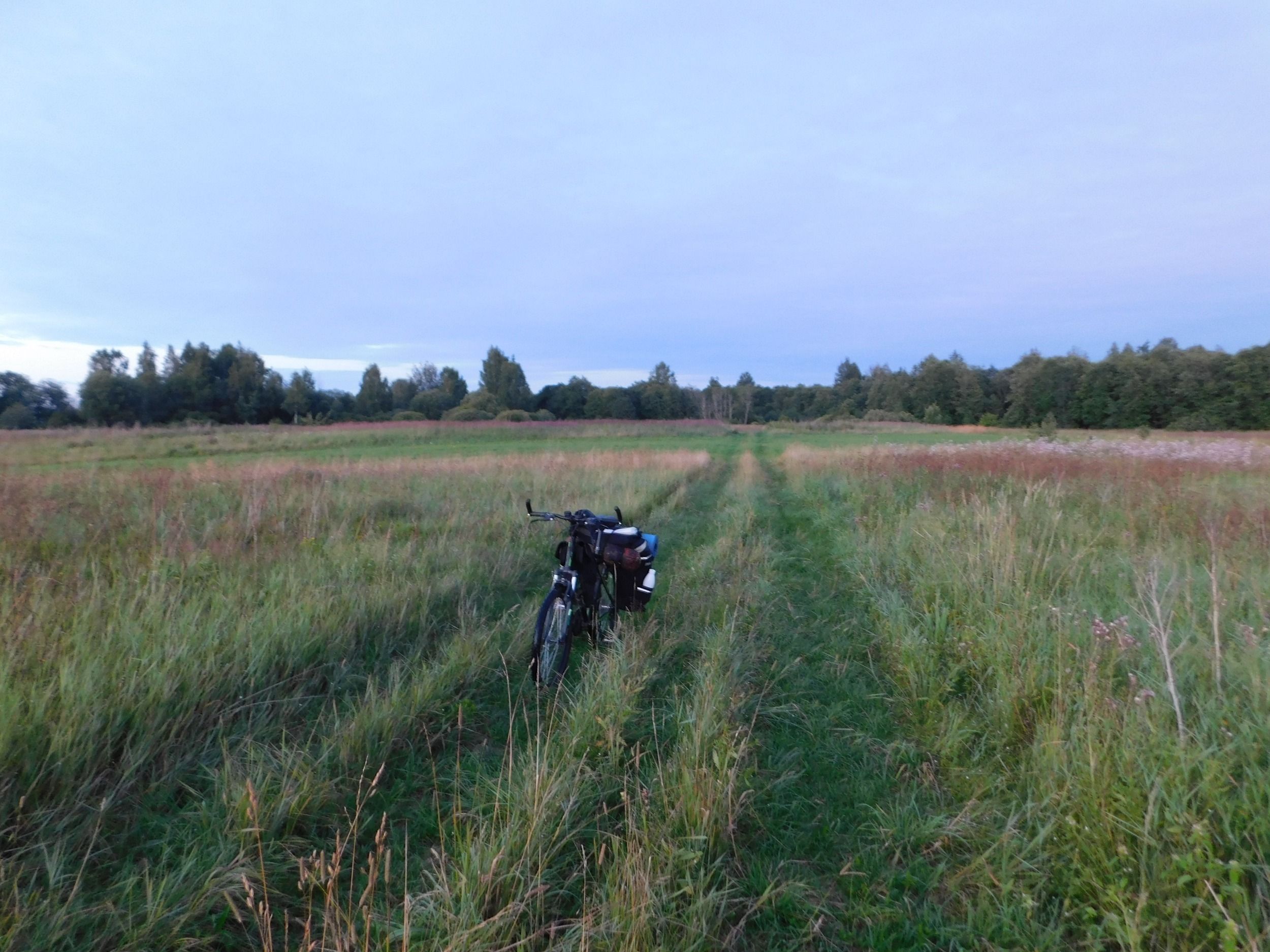 DSCN7794.JPG