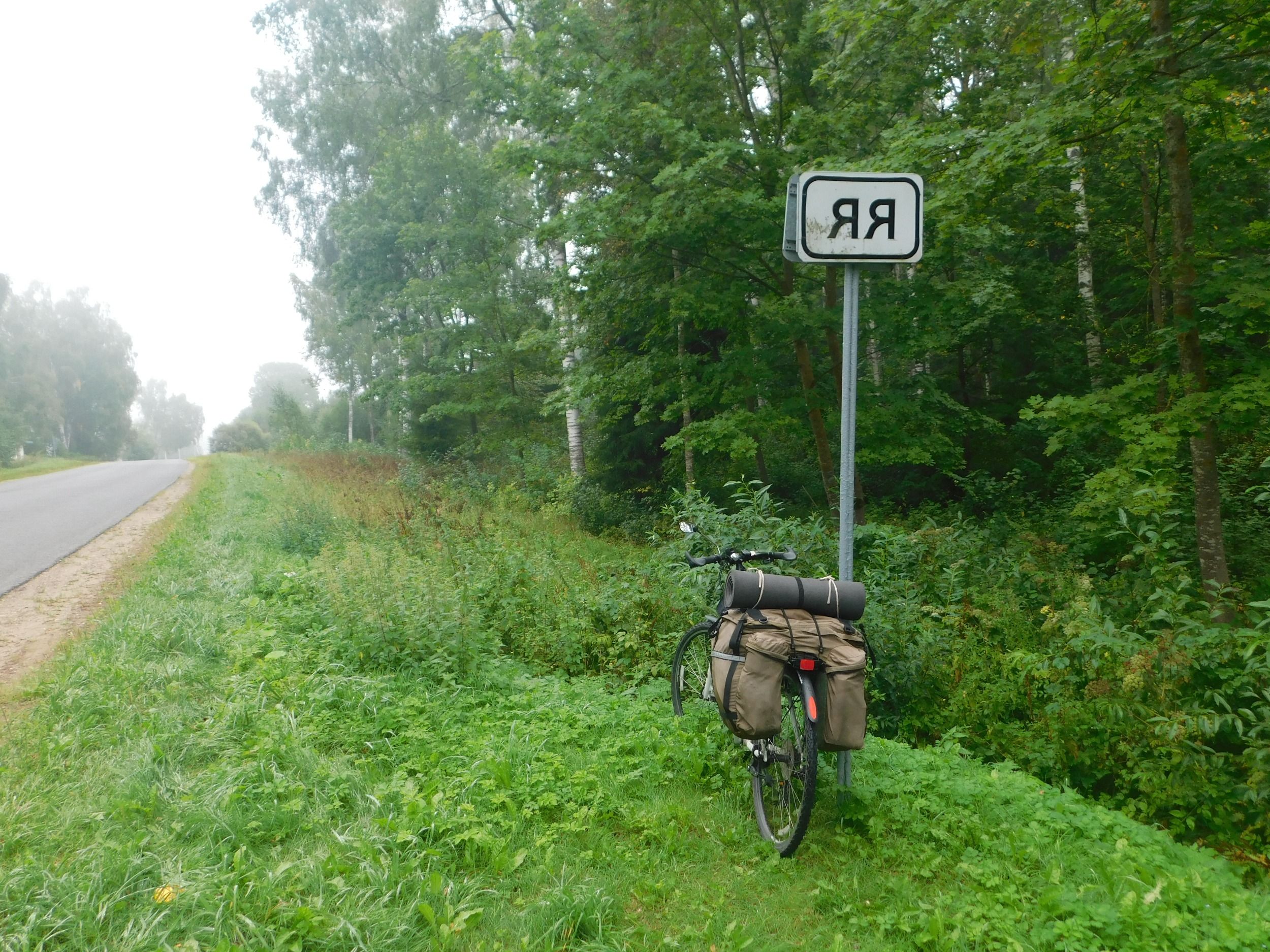 87.JPG