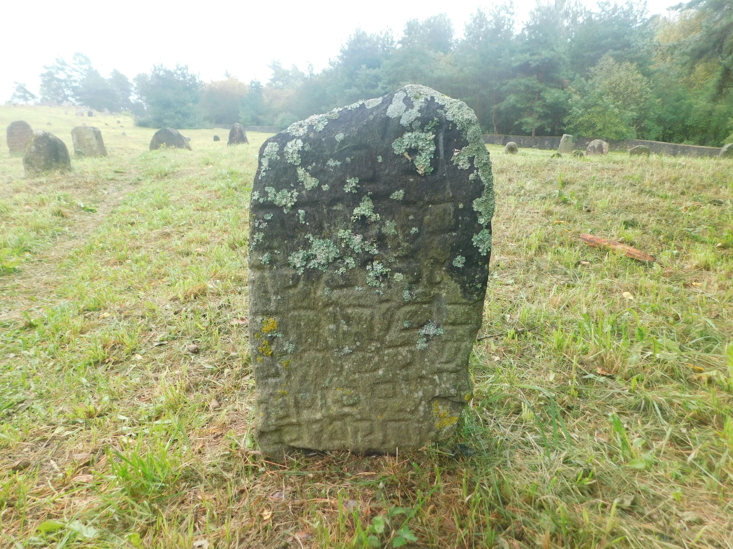 95.JPG
