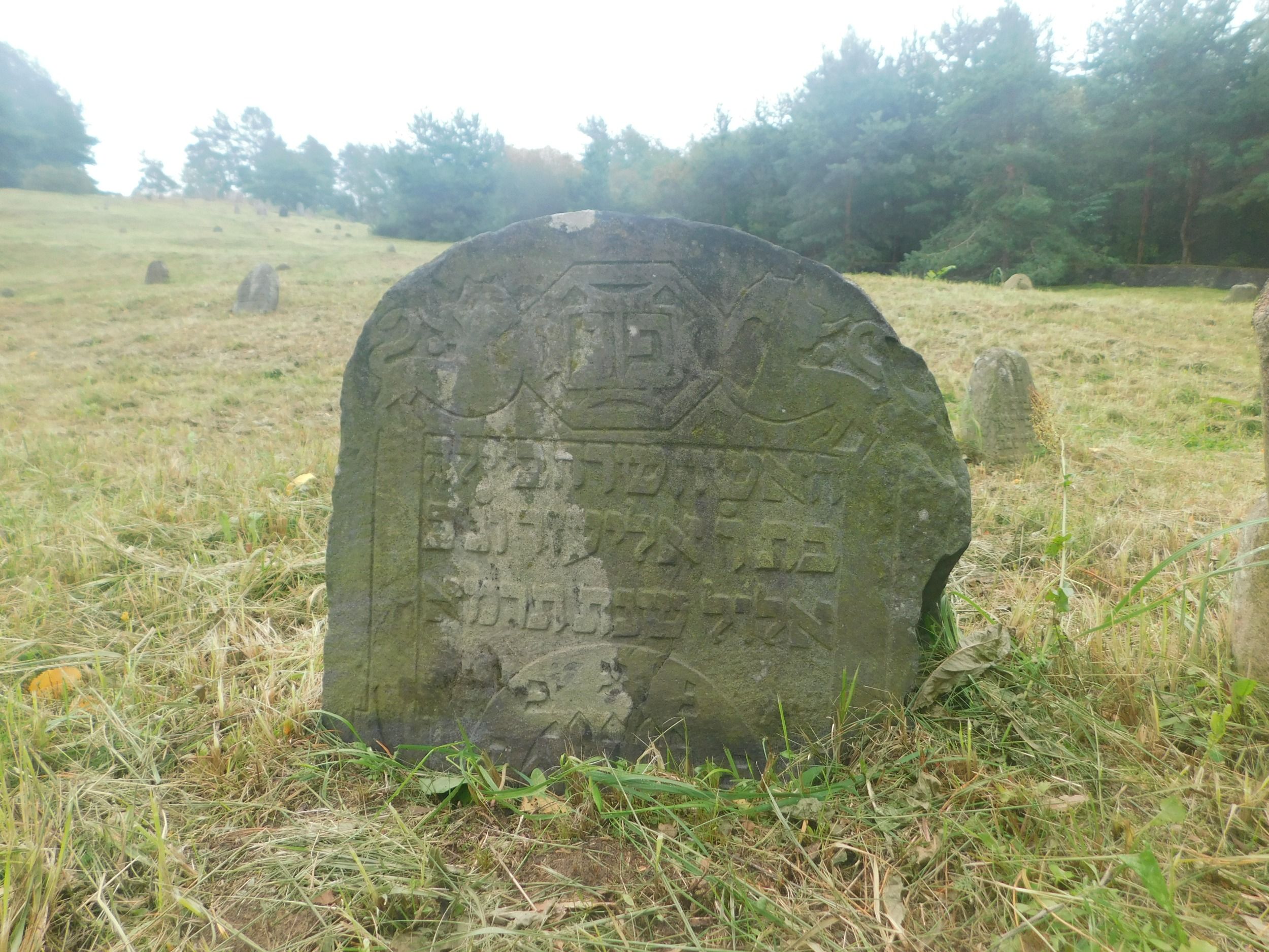 97.JPG