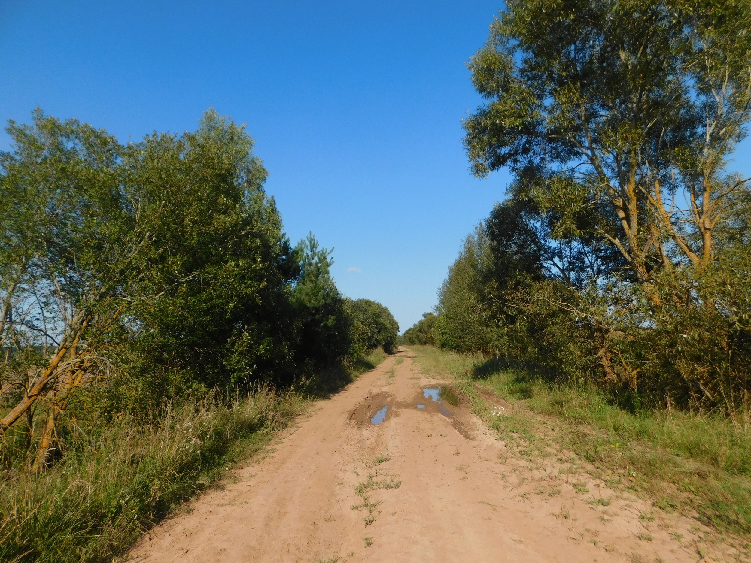 154.JPG