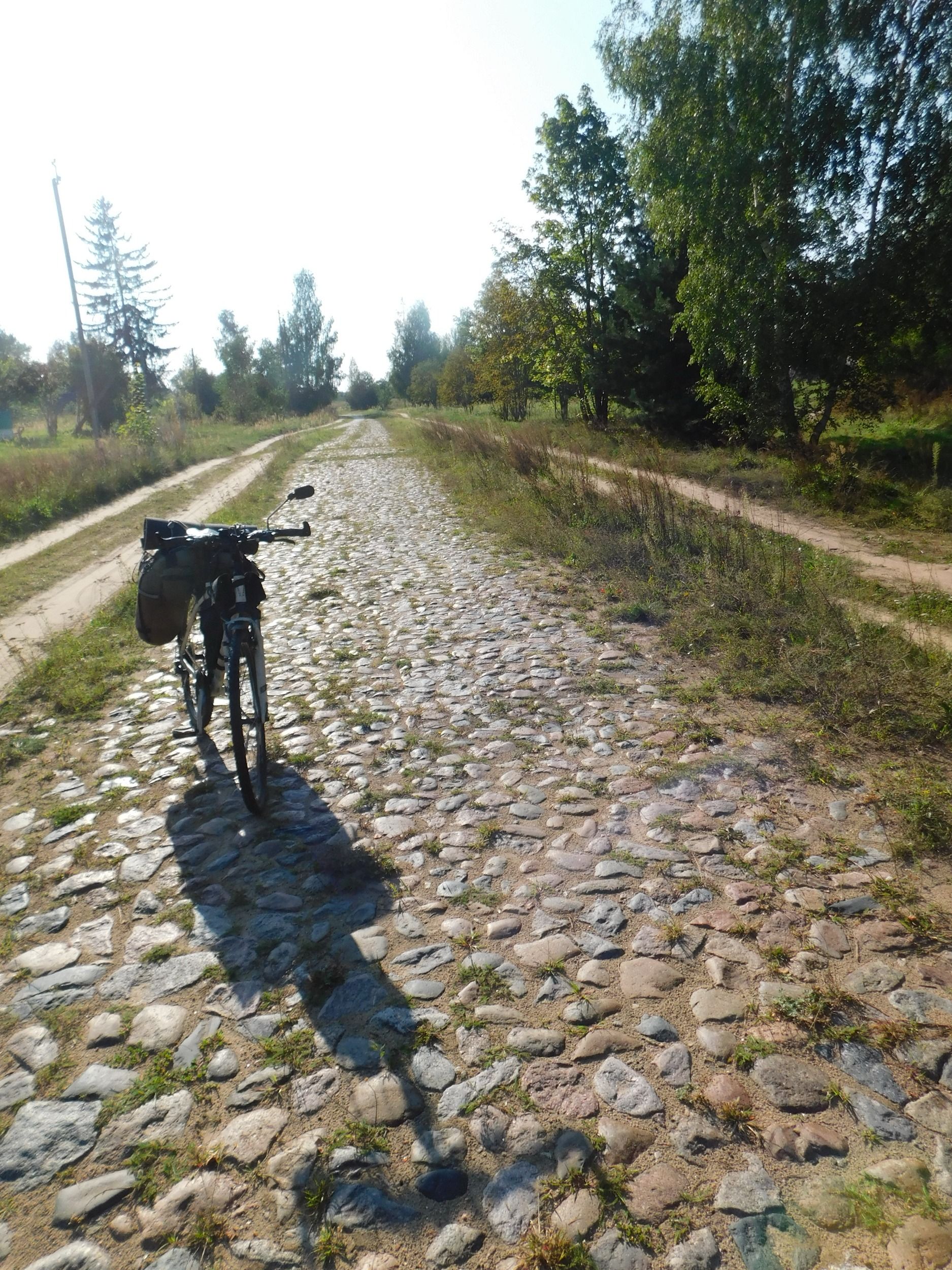 155.JPG
