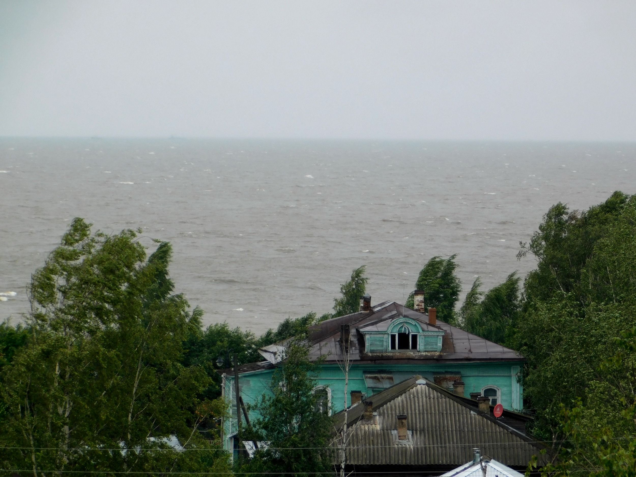 DSCN7488.jpg