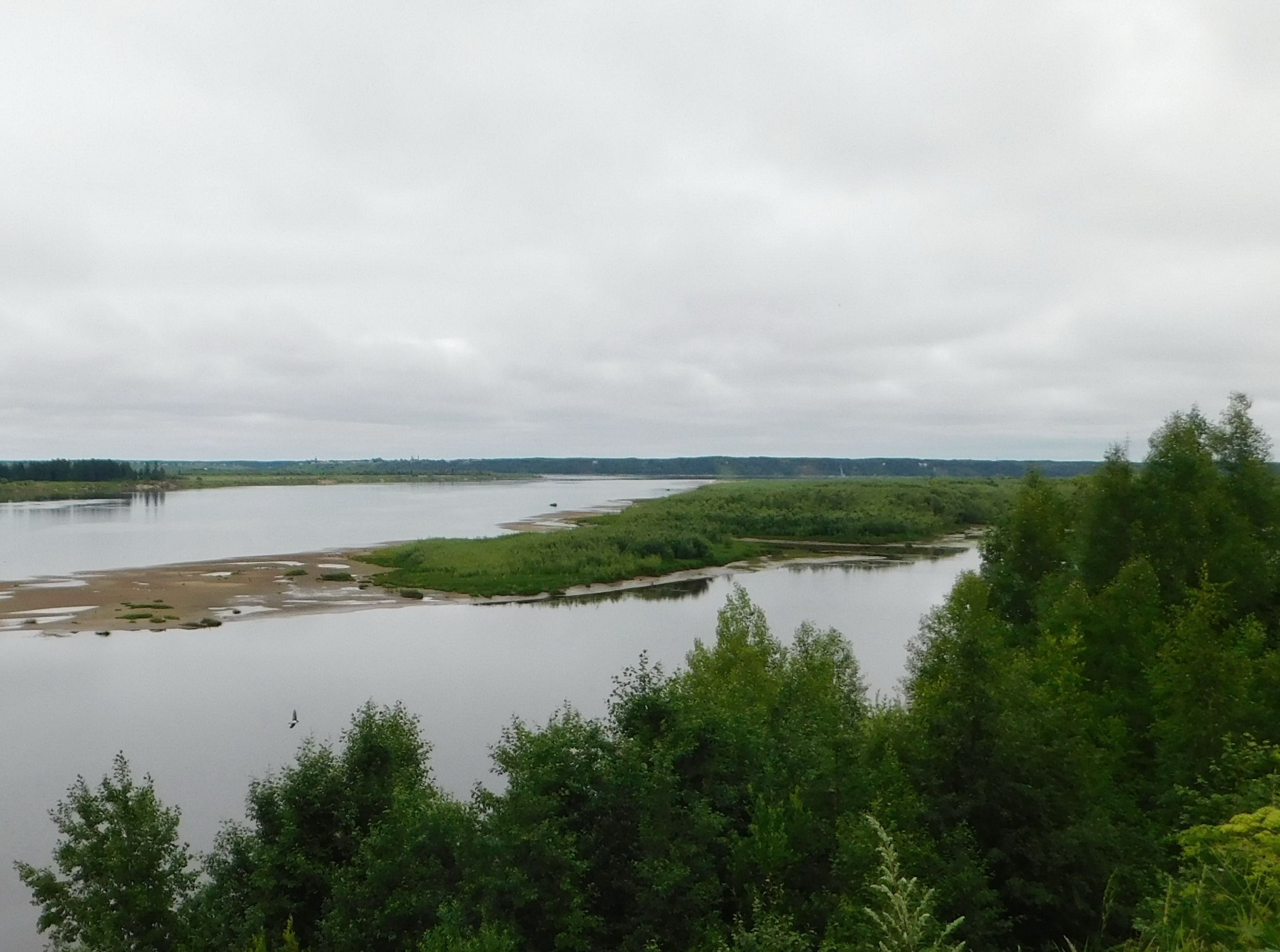 0115.jpg 2.jpg