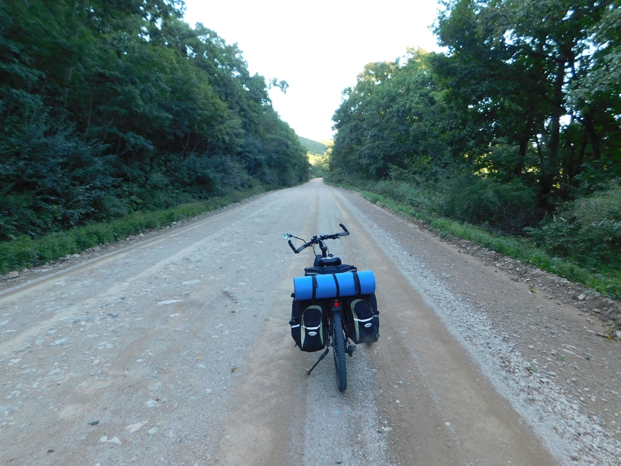 00544.jpg