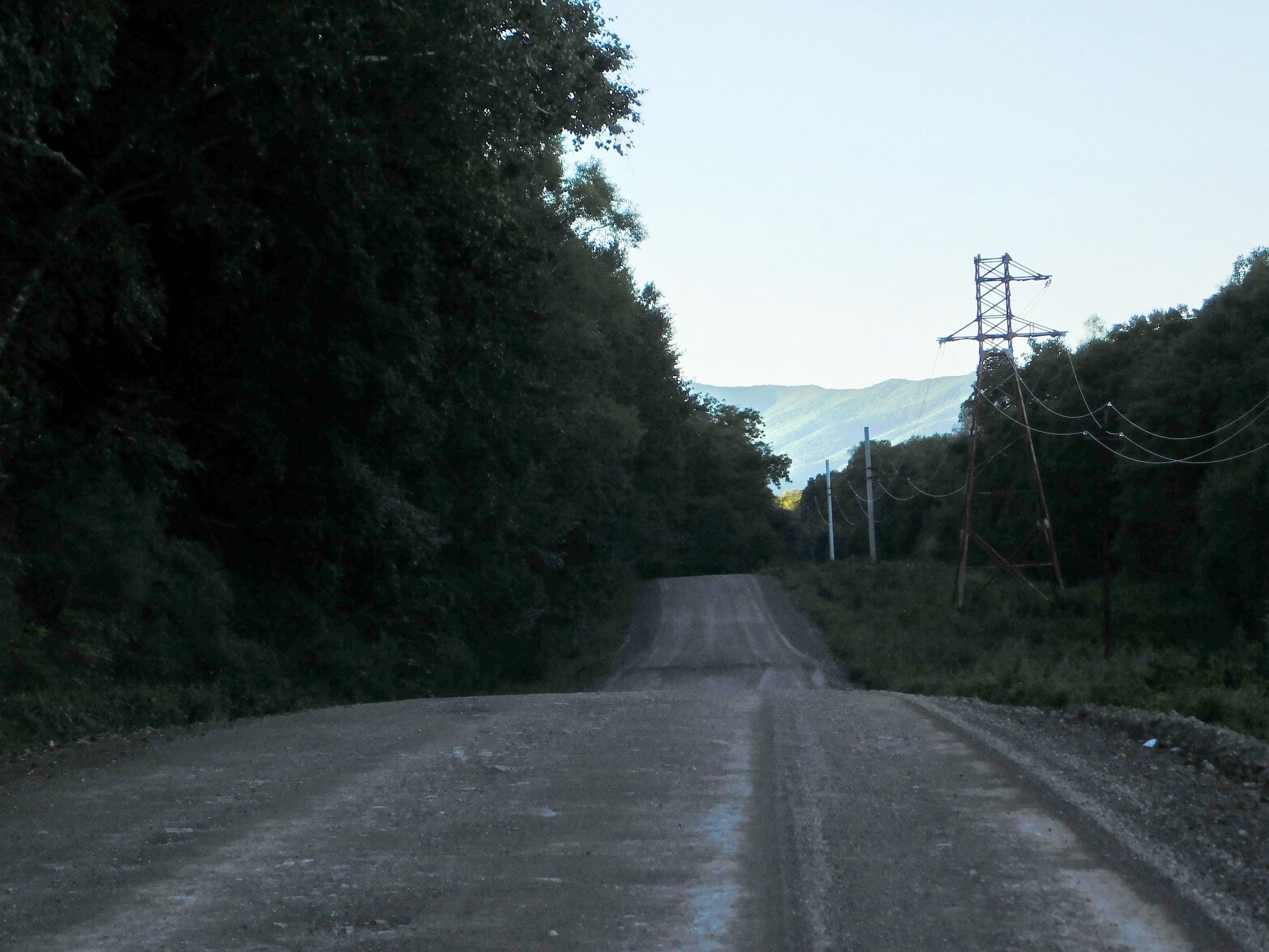 00547.jpg