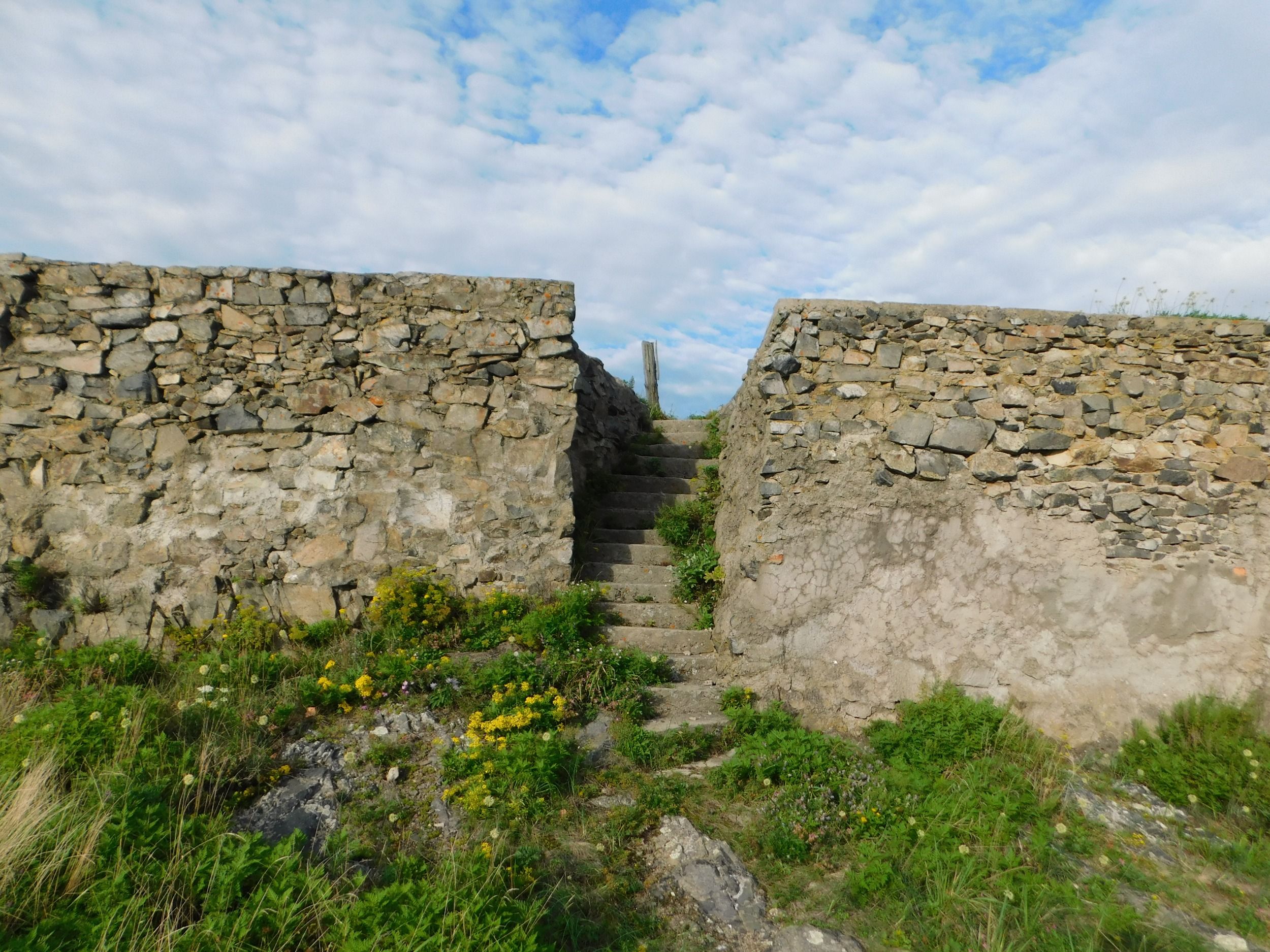 01179.jpg