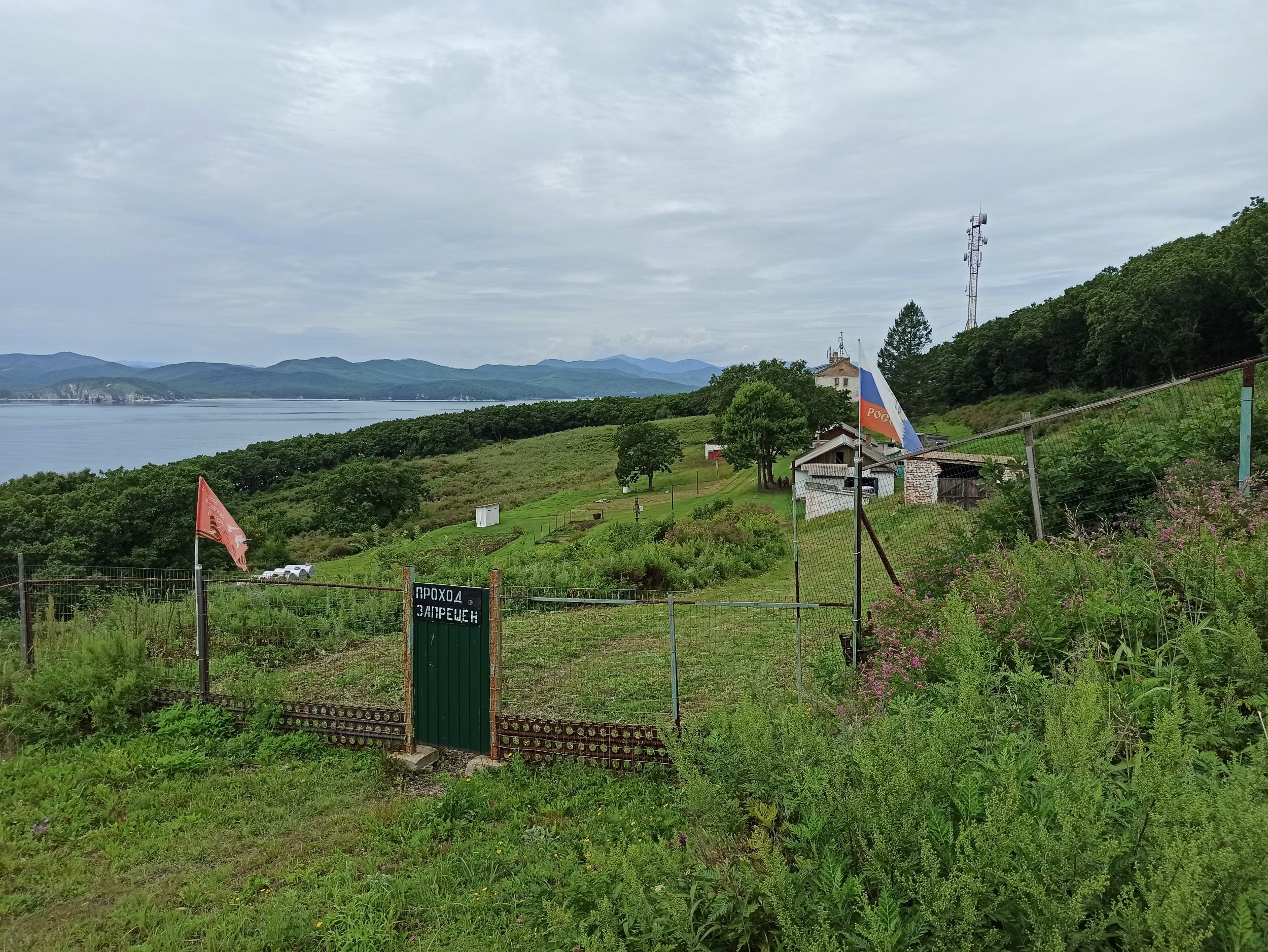 01449.jpg