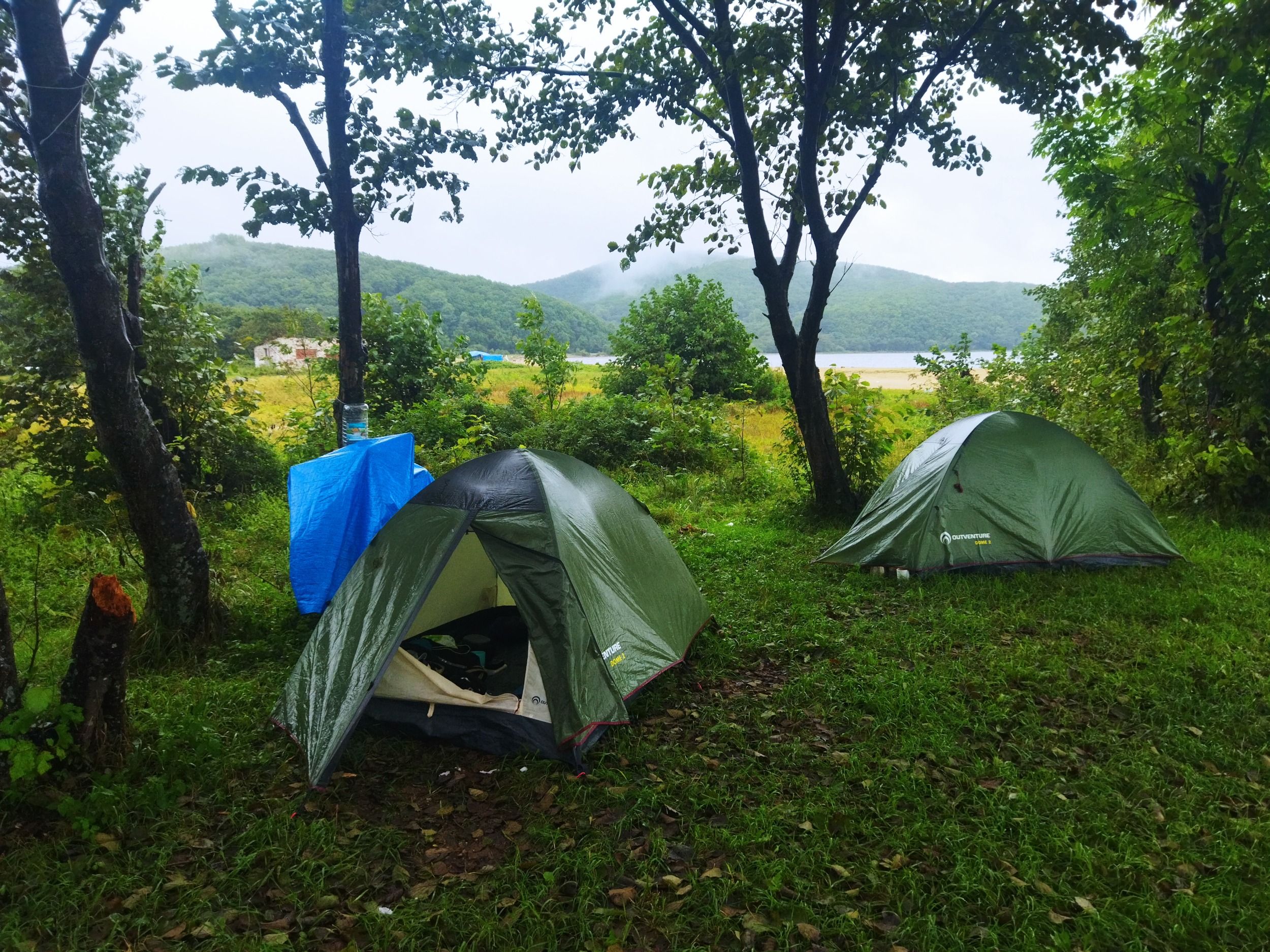 01500.jpg