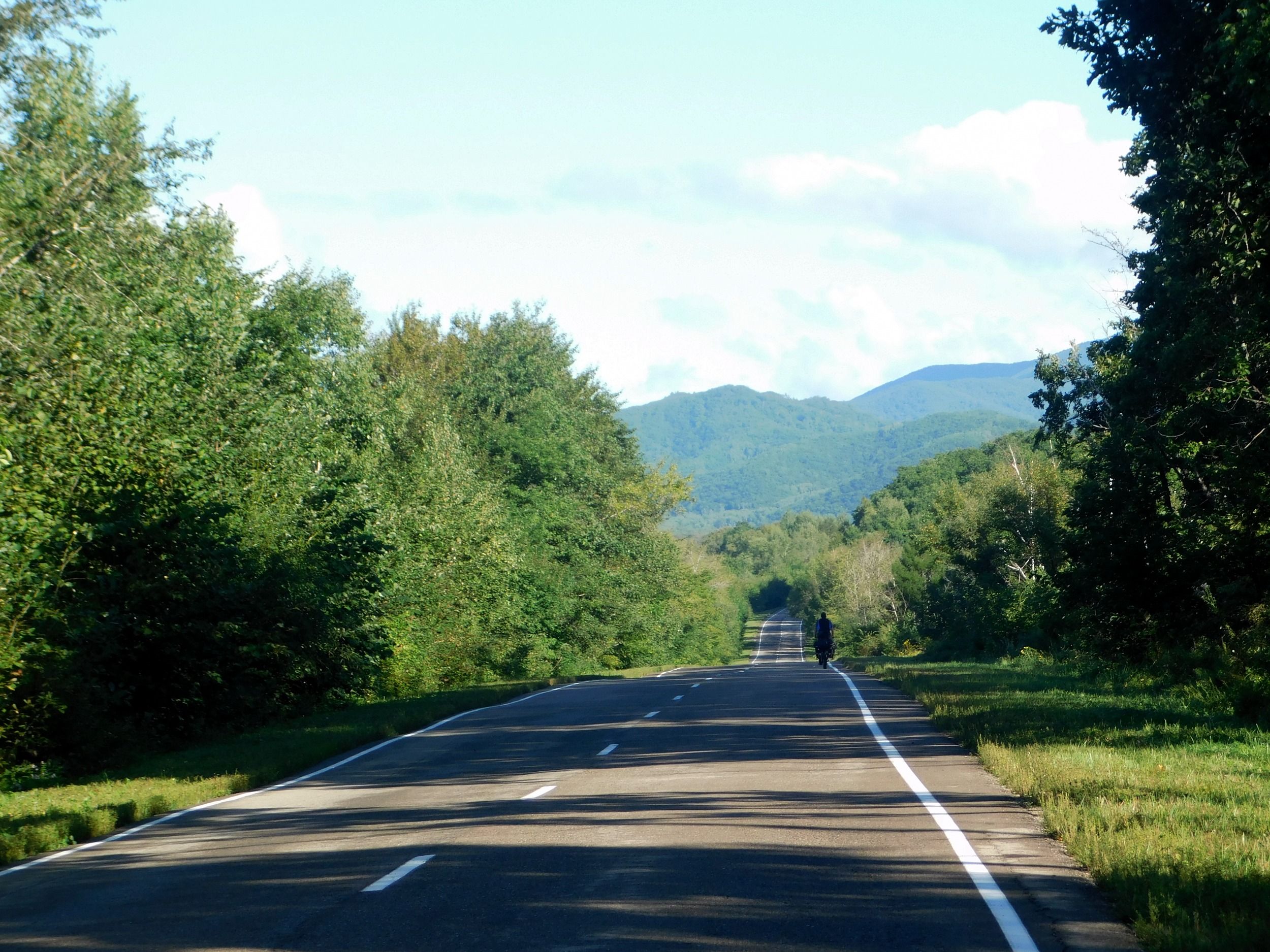 01528.jpg