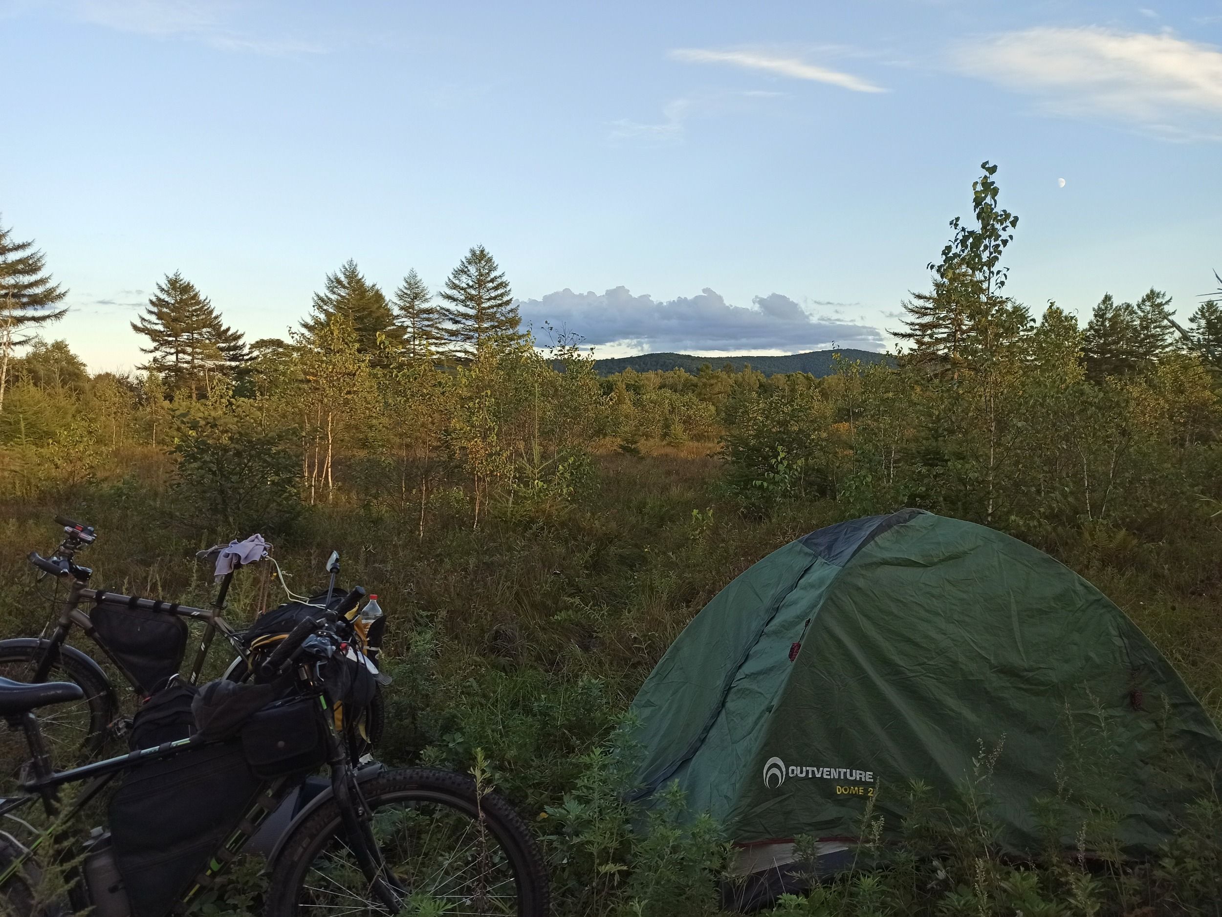 01583.jpg