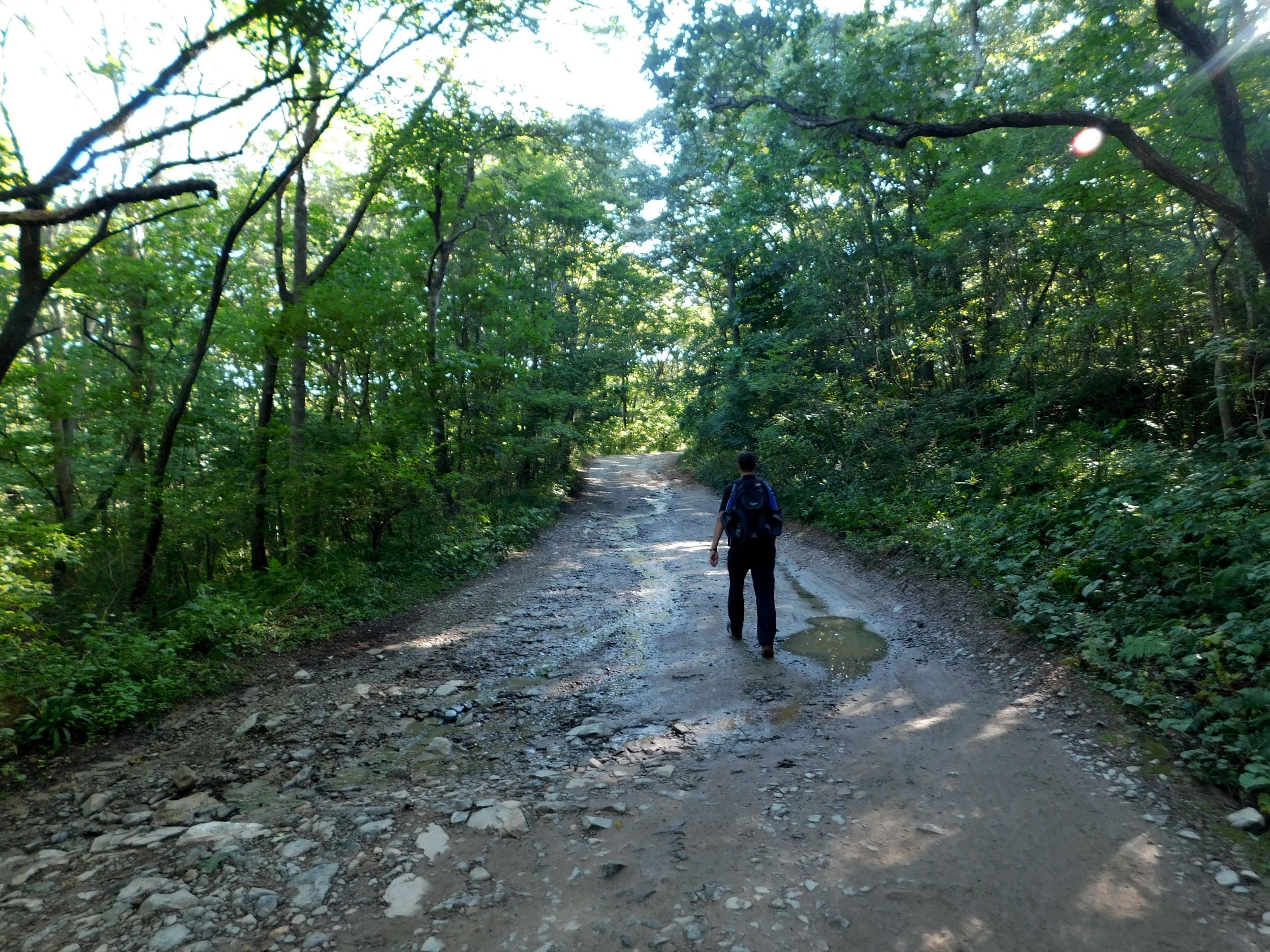 02002.jpg