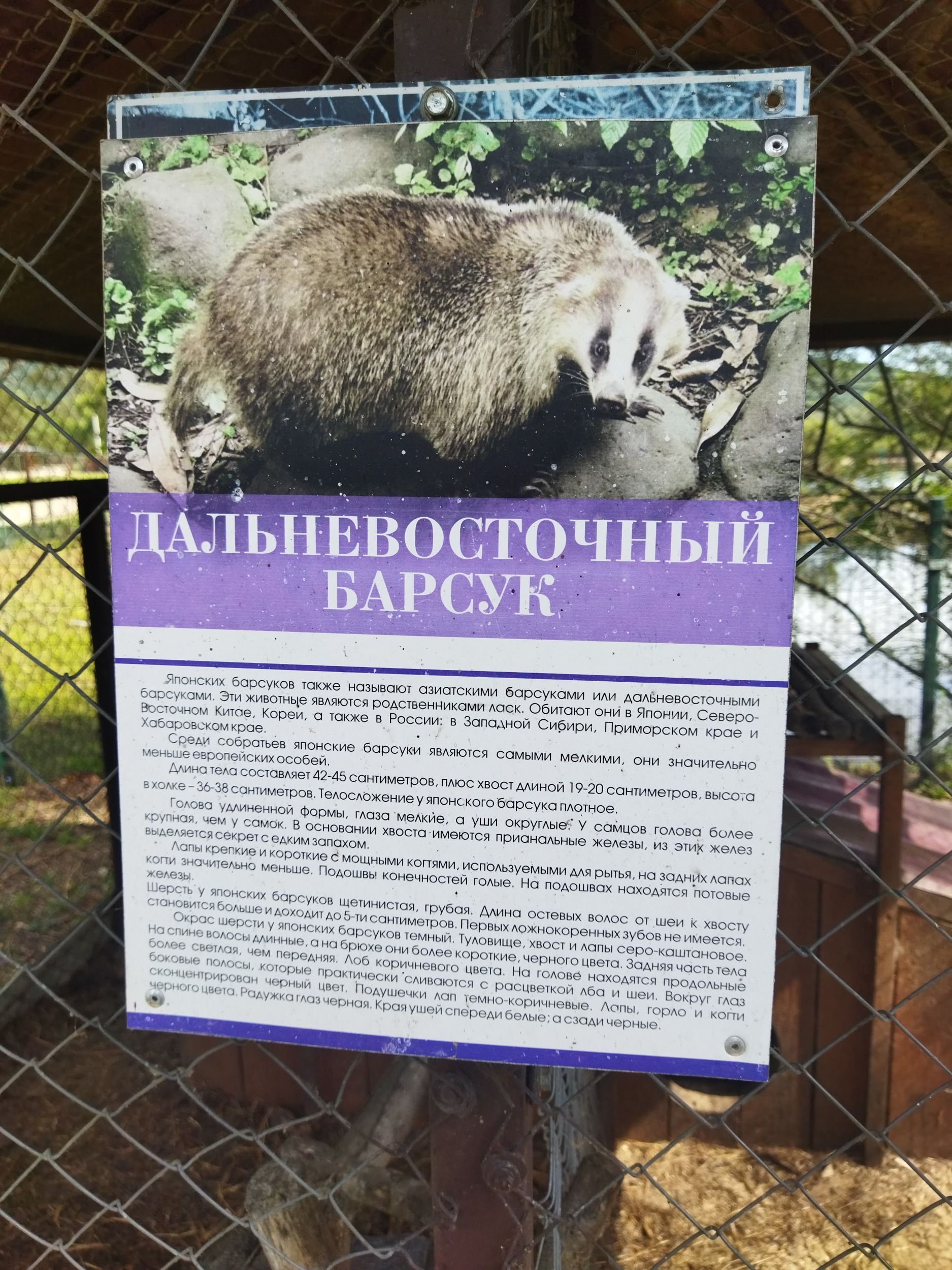 02401.jpg
