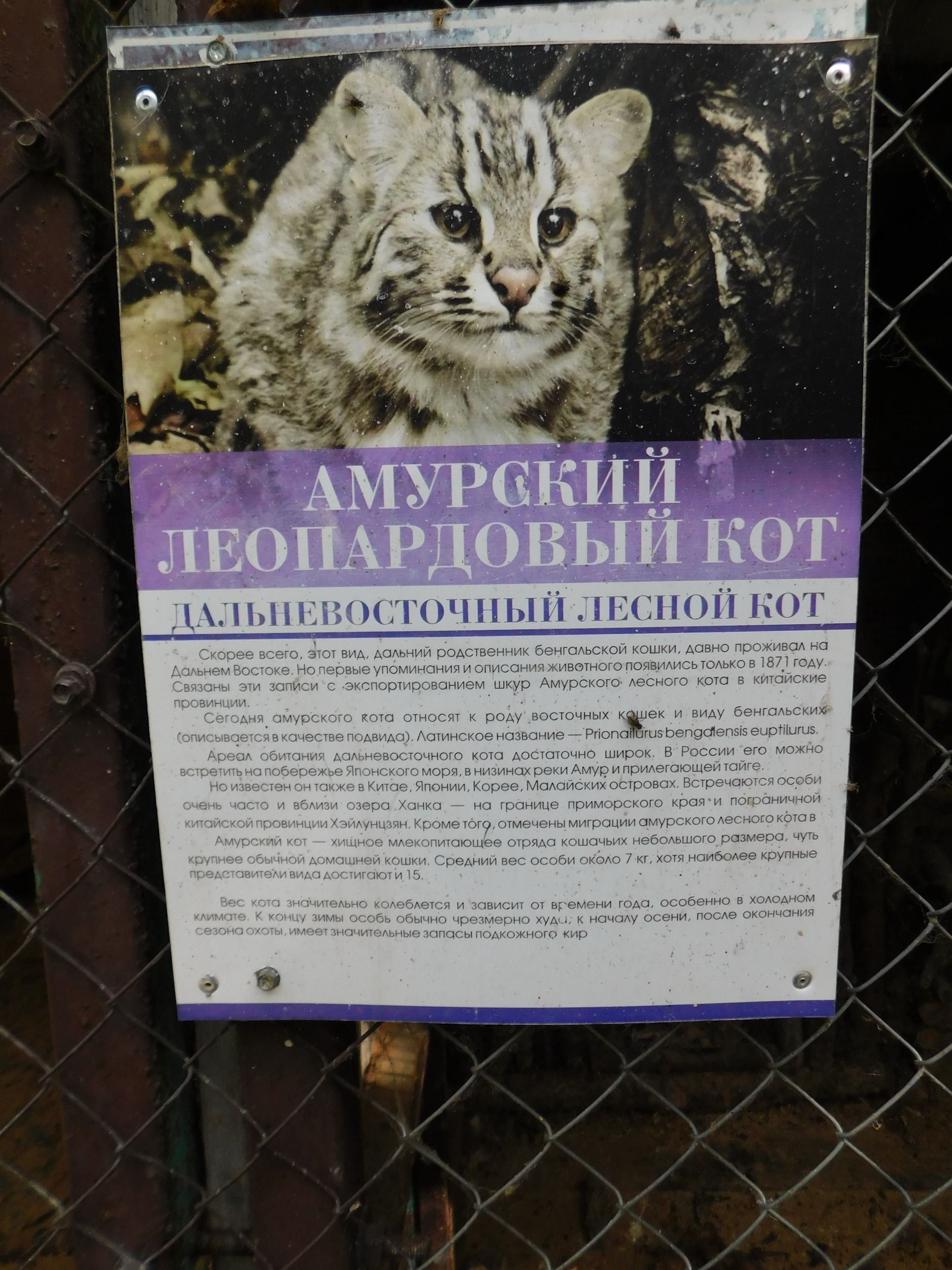 02414.jpg