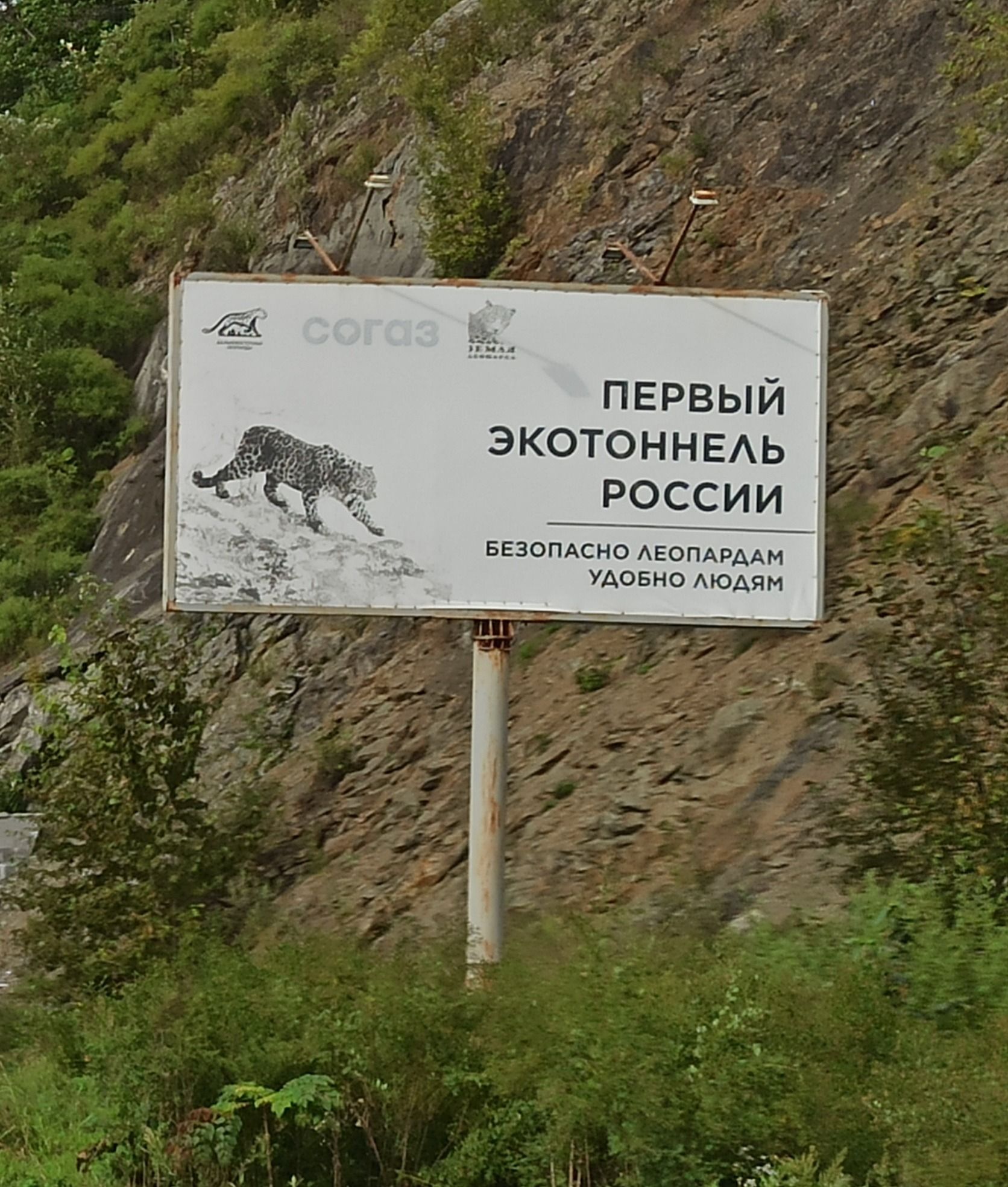 02436.jpg 2.jpg