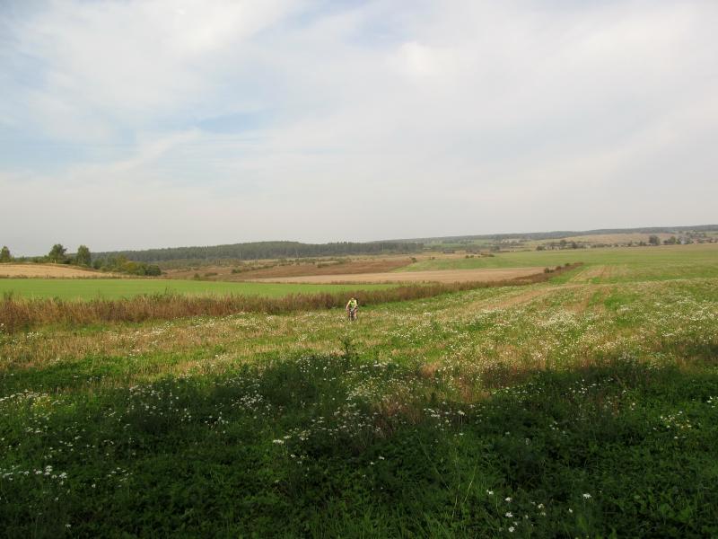 IMG_7523.jpg