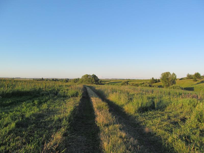 IMG_6557.jpg