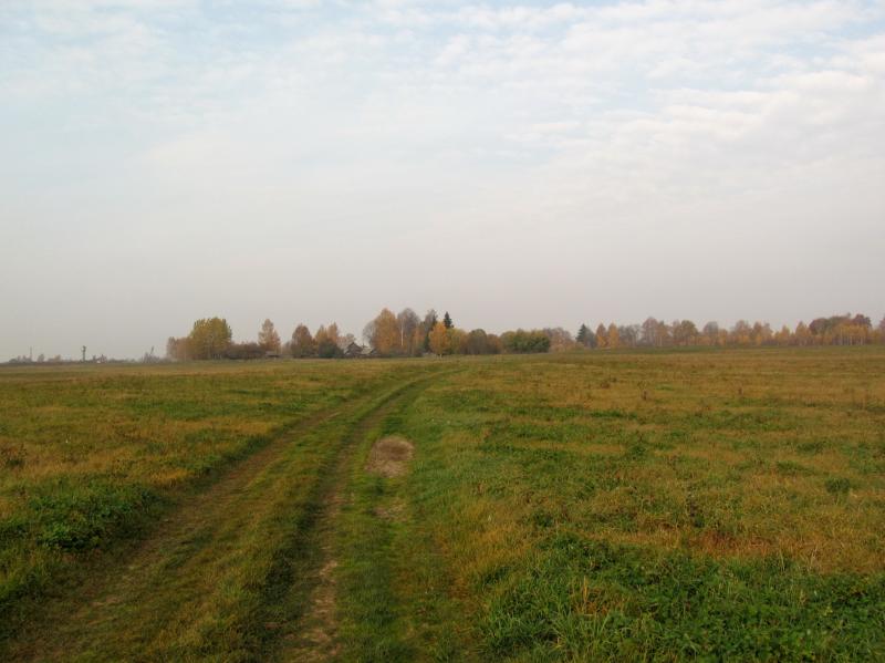 IMG_7621.jpg