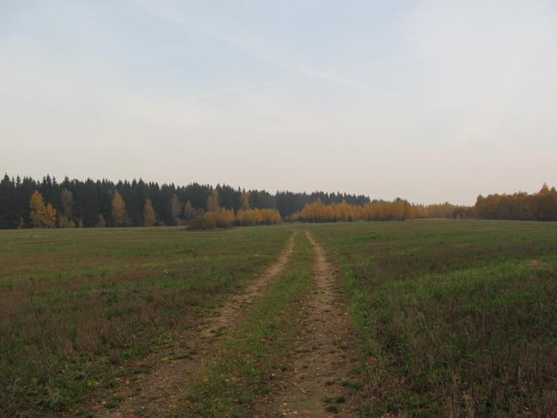 IMG_7633.jpg