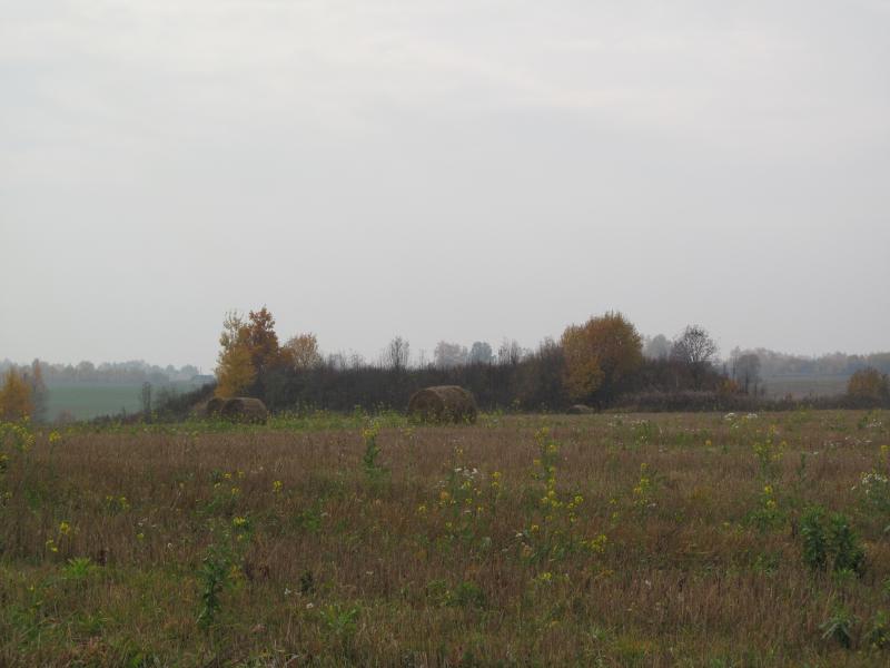 IMG_7649.jpg