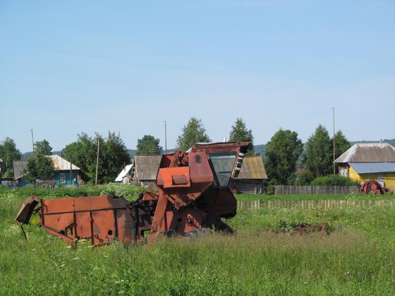 IMG_6784.jpg