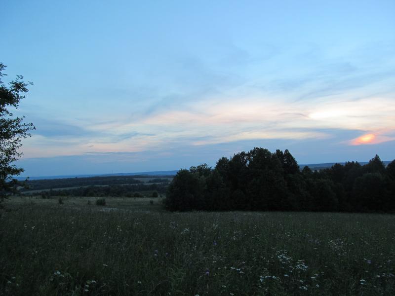 IMG_6861.jpg