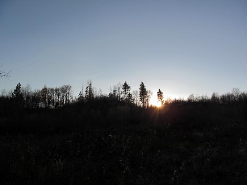 IMG_7754.jpg