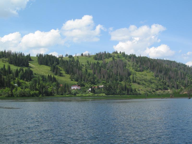 IMG_7021_2.jpg