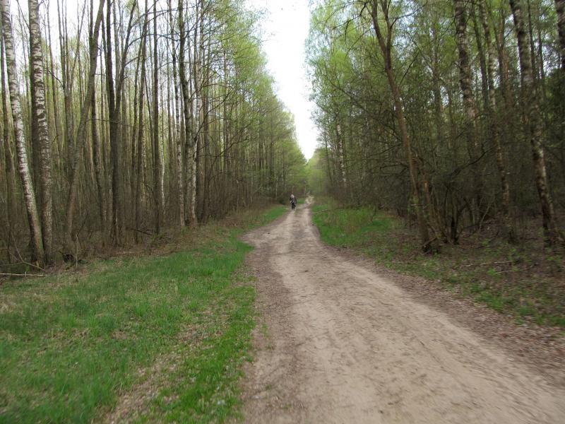 IMG_8636.jpg