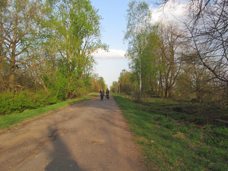 IMG_8645.jpg