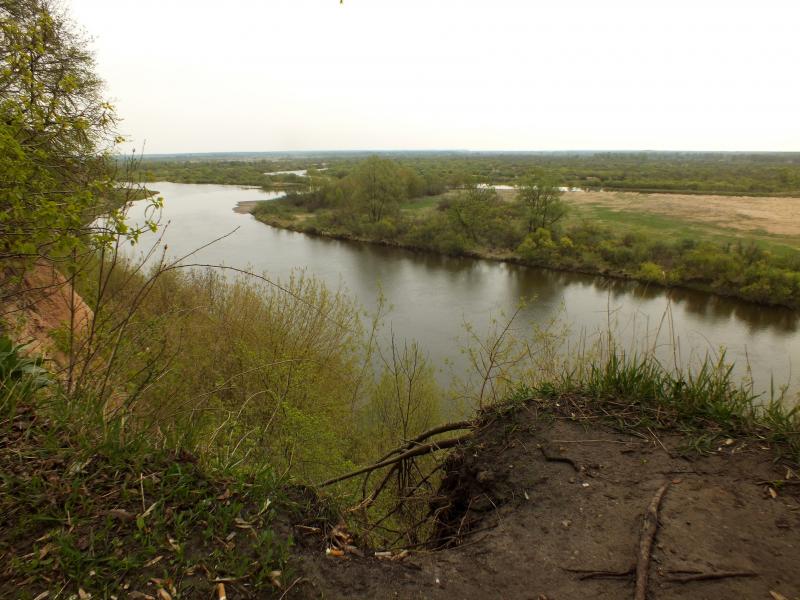 DSCF5121.jpg