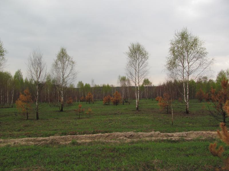 IMG_8724_2.jpg