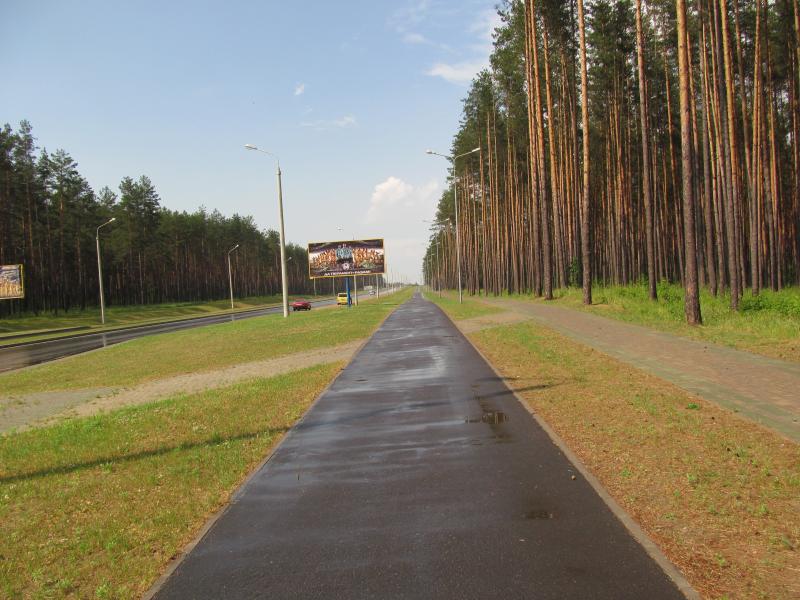 IMG_8836.jpg