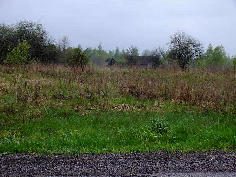 DSCF9139.jpg