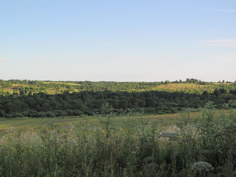 IMG_3530_2.jpg