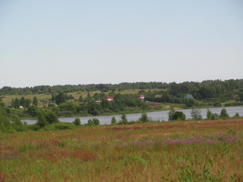IMG_3563_3.jpg