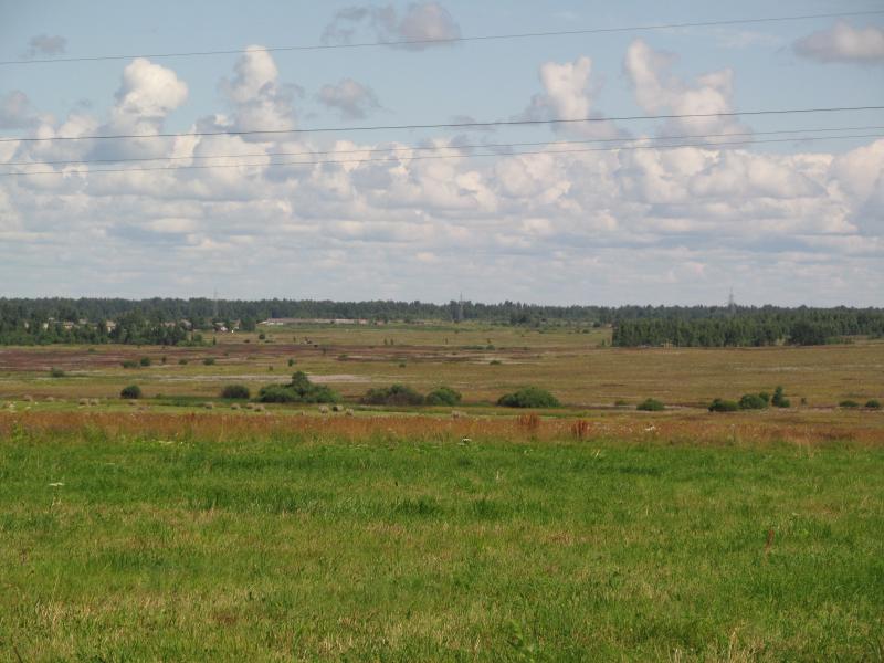 IMG_3572_2.jpg