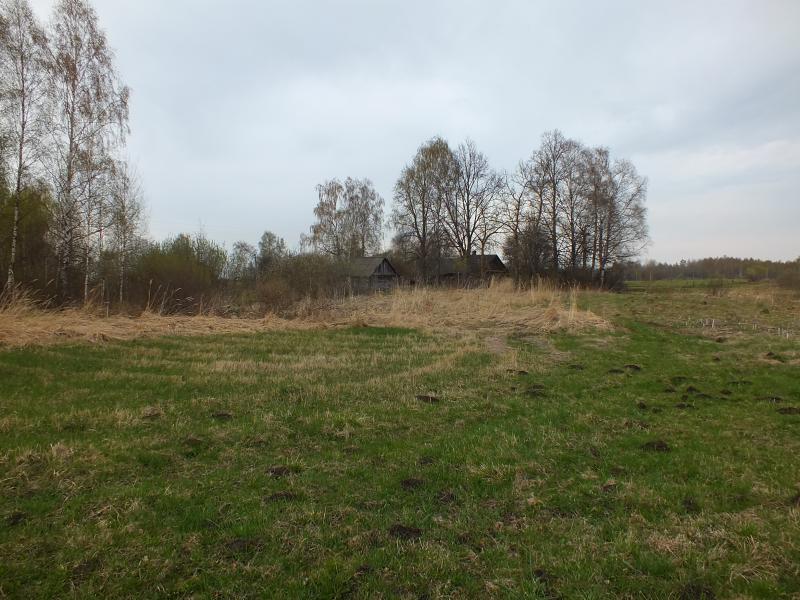 DSCF1196.jpg