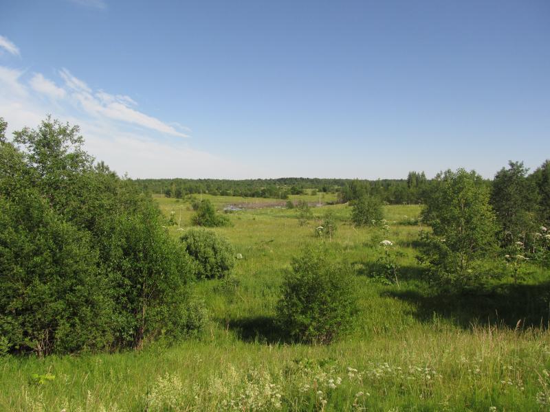 193_2.jpg
