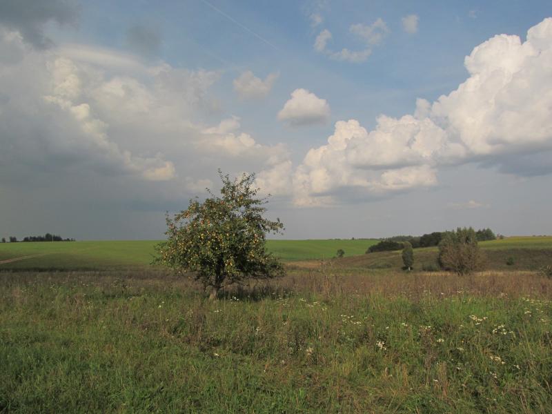 IMG_7511_2.jpg